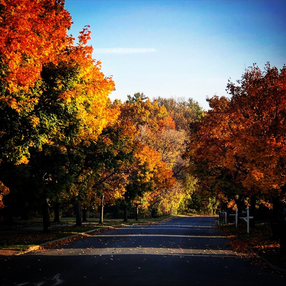 Meet your Posher, Alexandra